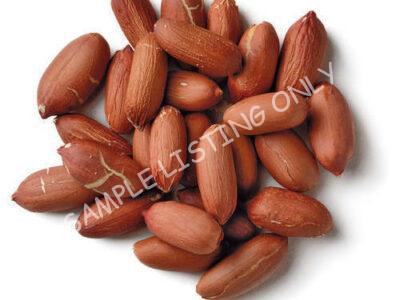 Raw Nigeria Groundnuts