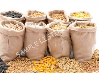 Healthy Nigeria Maize